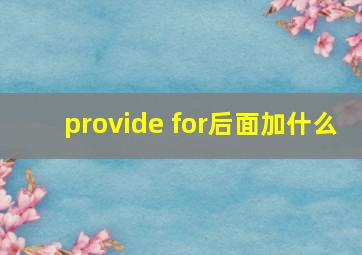 provide for后面加什么